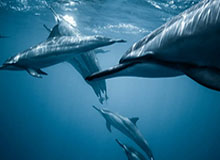 华体会体育——您的全方位体育娱乐新体验